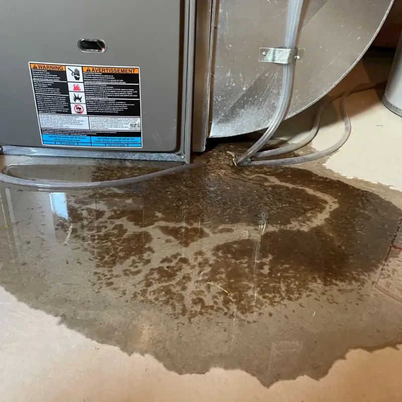 Appliance Leak Cleanup in Pacific, MO