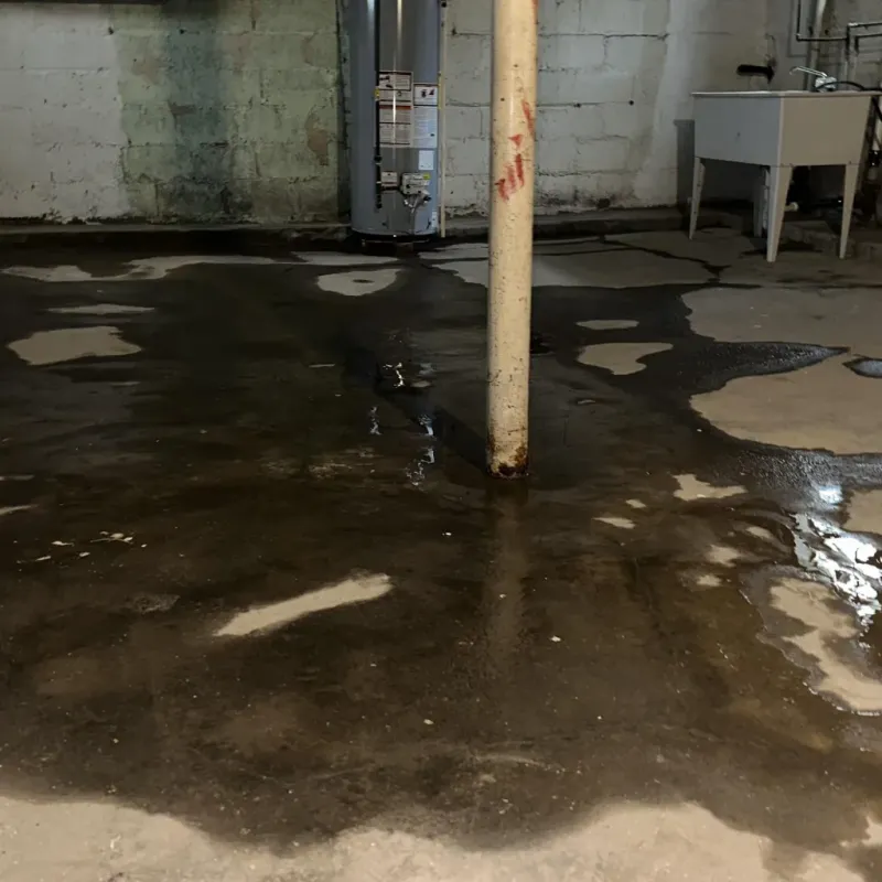Emergency Water Extraction And Removal in Pacific, MO